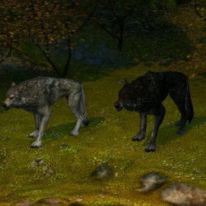 http://pliki.jaskiniabehemota.net/h6/uploads/avg/wolves.jpg http://pliki.jaskiniabehemota.net/h6/uploads/avg/wolves.jpg